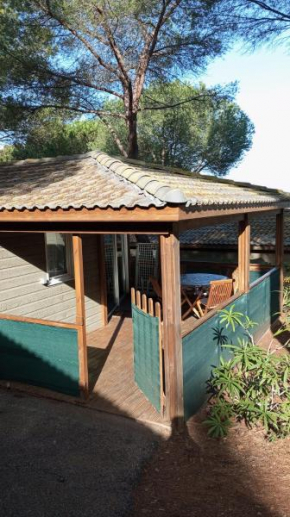 Chalet familial entre les pins